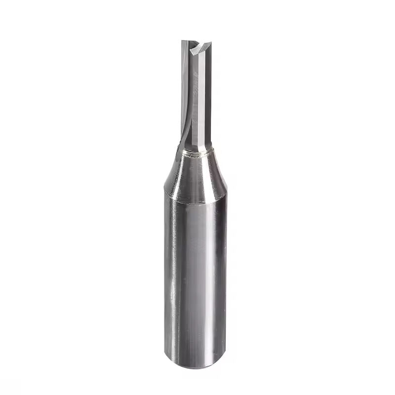 TCT 2/3 Flute Straight Bit Tungsten Carbide Milling Cutter Without Teeth Solid Carbide